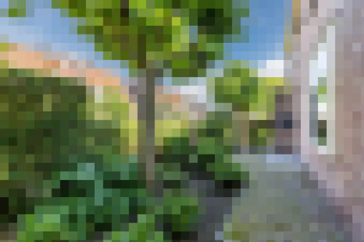 Kuikensweg 20 Beverwijk thumbnail 67