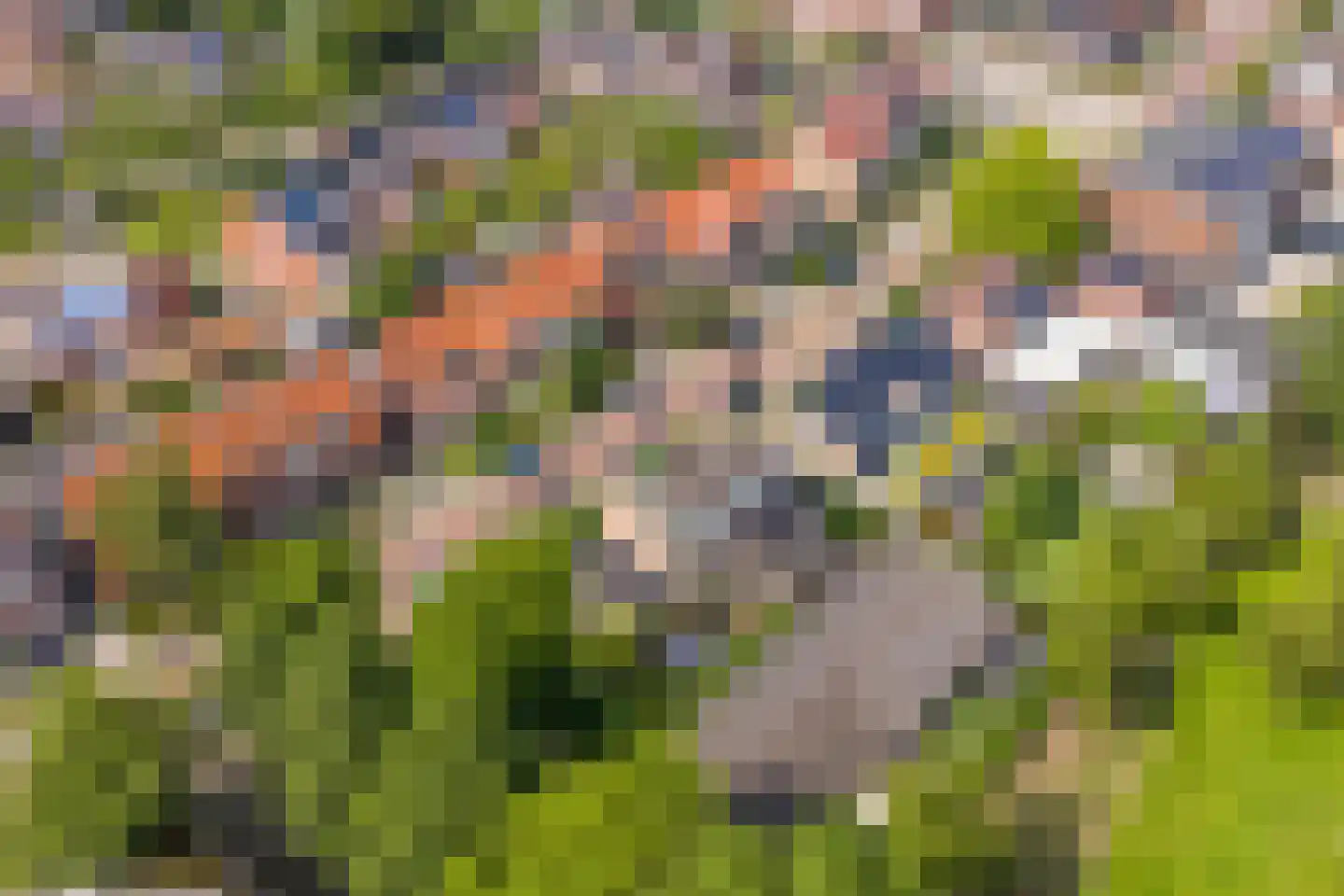 Kuikensweg 20 Beverwijk thumbnail 77