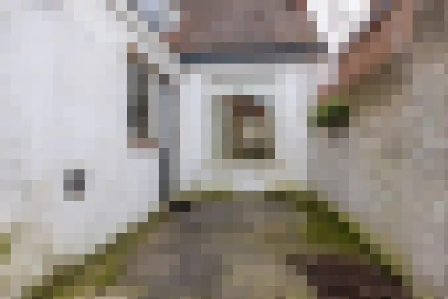 Kuikensweg 75 Beverwijk thumbnail 14