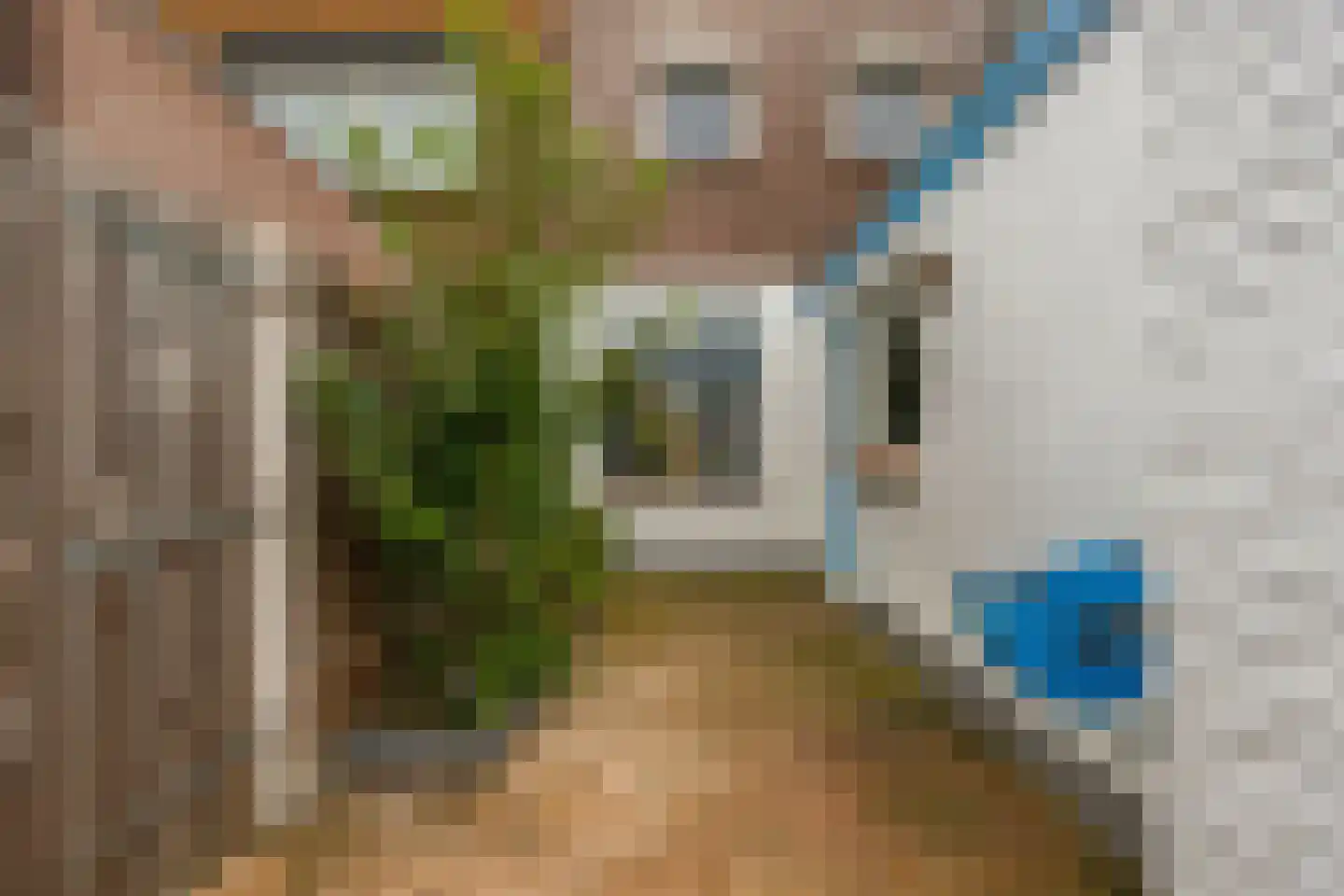Kuikensweg 83 Beverwijk thumbnail 27