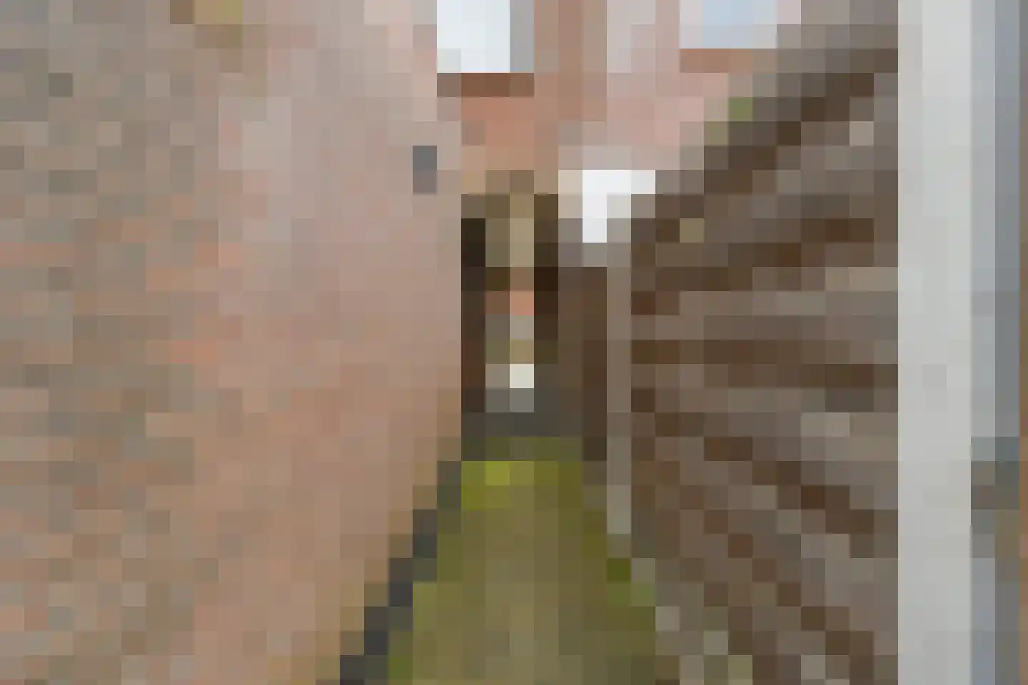 Kuikensweg 83 Beverwijk thumbnail 32