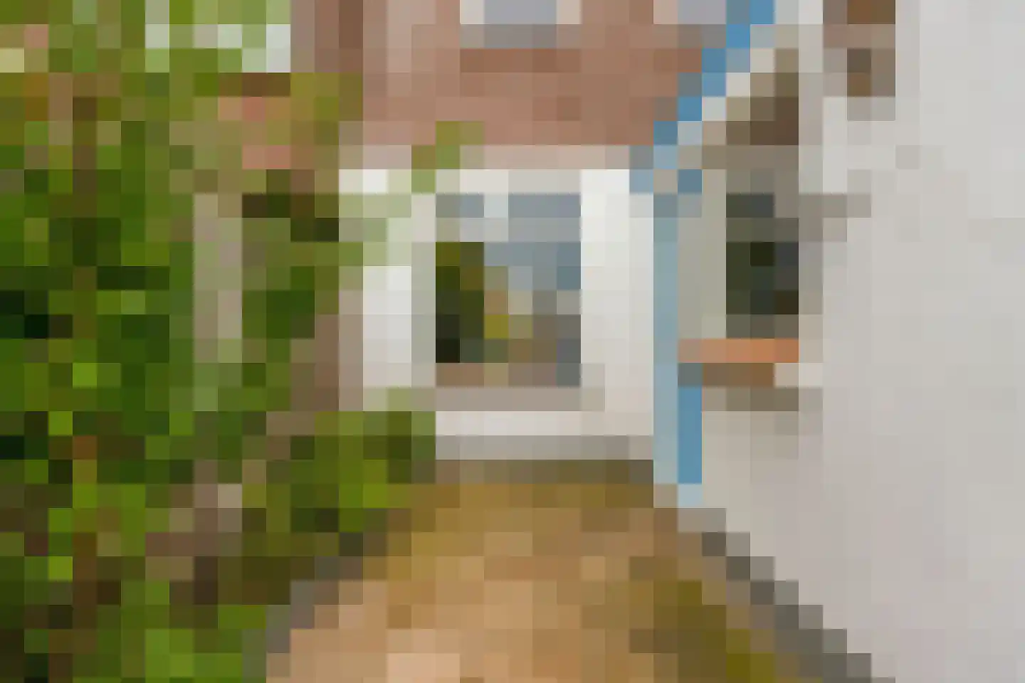 Kuikensweg 83 Beverwijk thumbnail 33