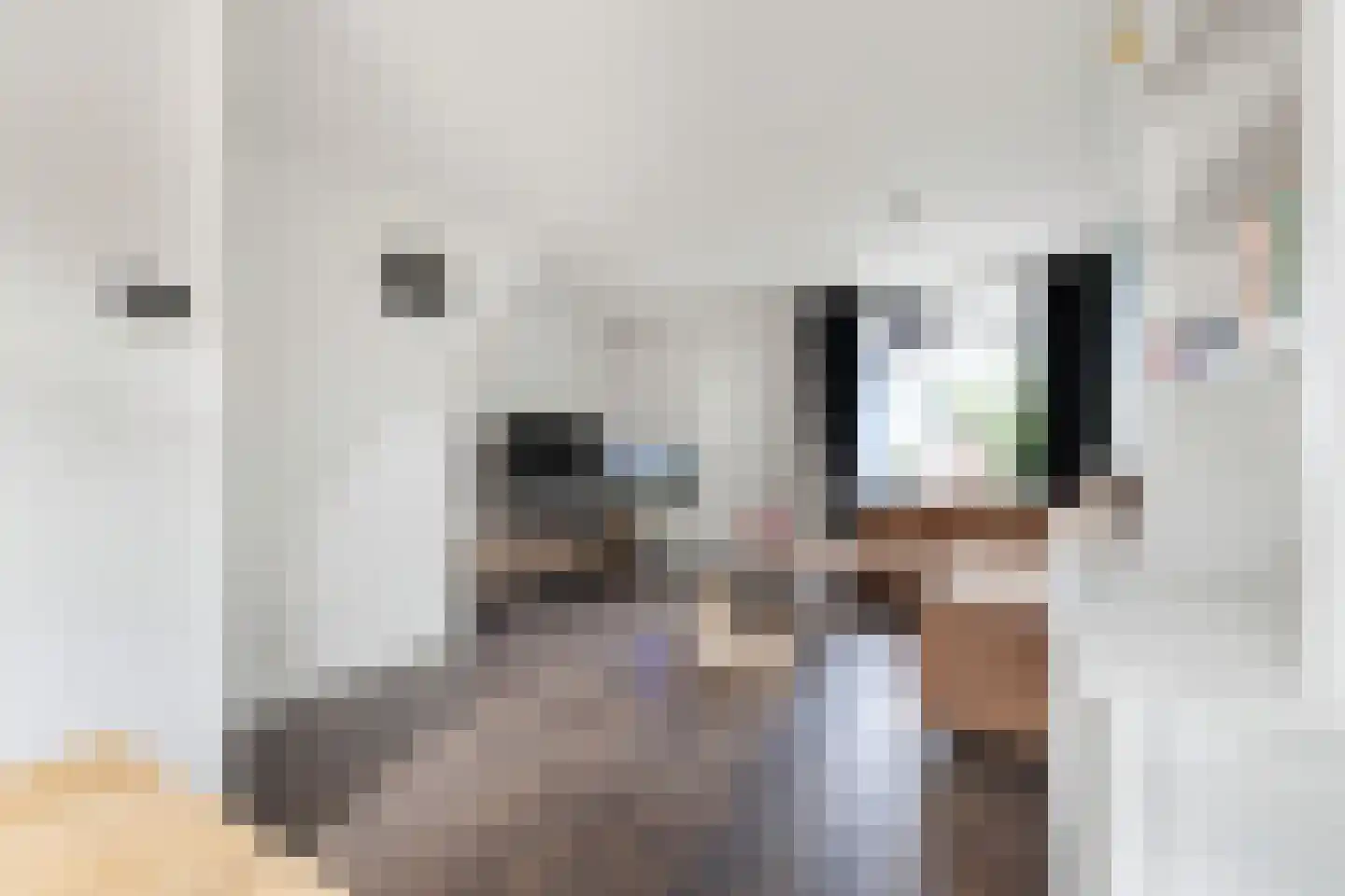 Kuikensweg 83 Beverwijk thumbnail 7