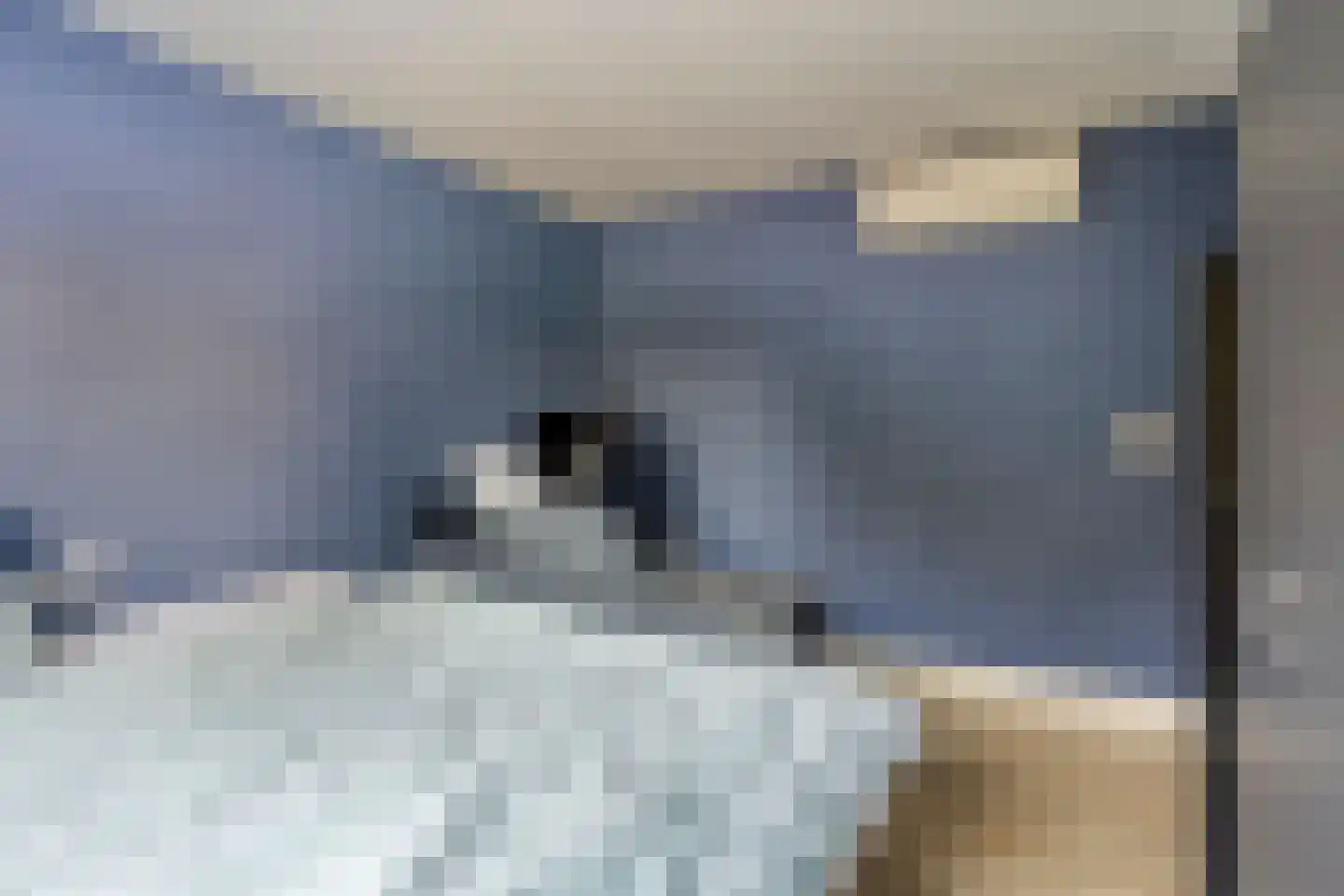 Kuikensweg 99 Beverwijk thumbnail 14