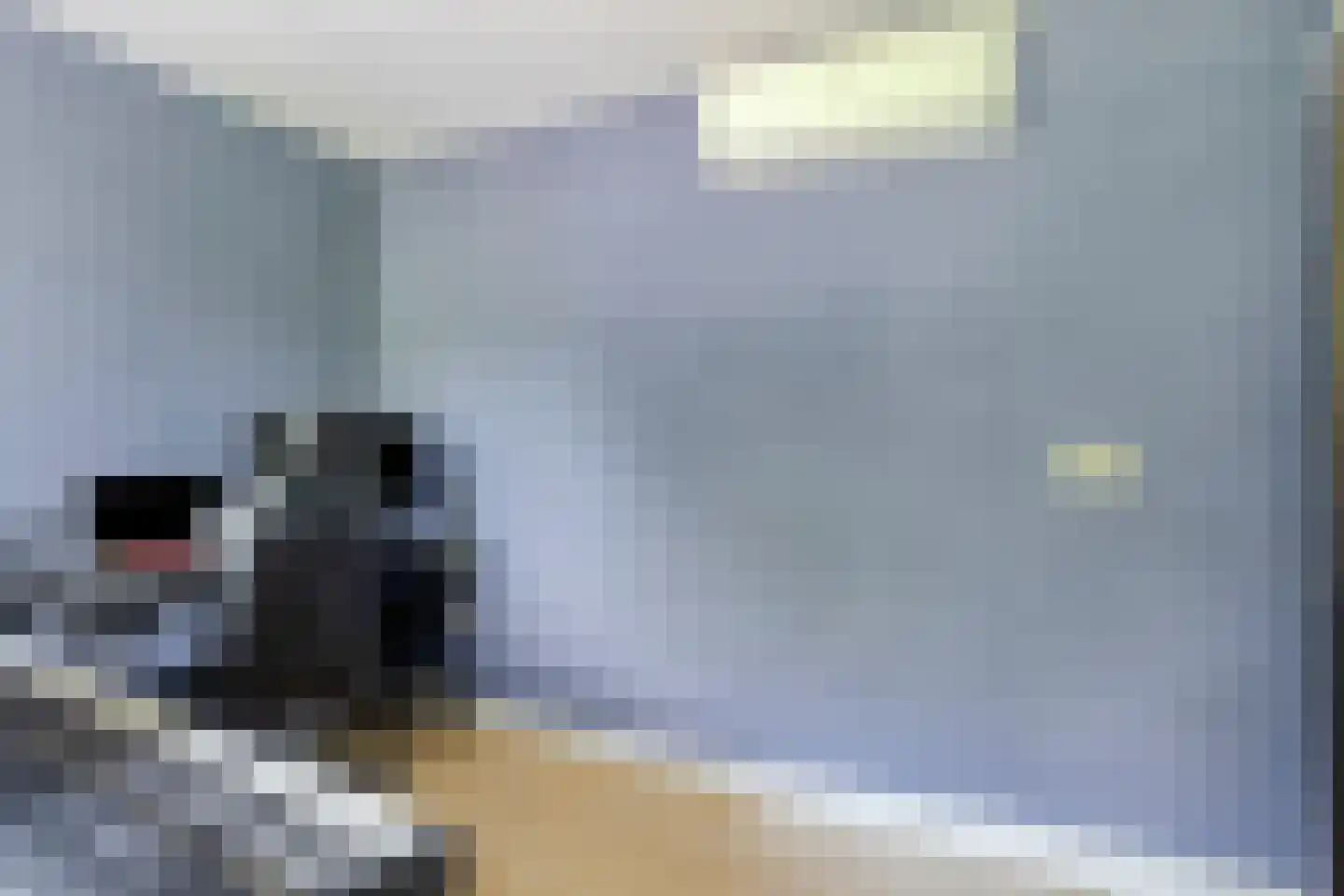 Kuikensweg 99 Beverwijk thumbnail 15