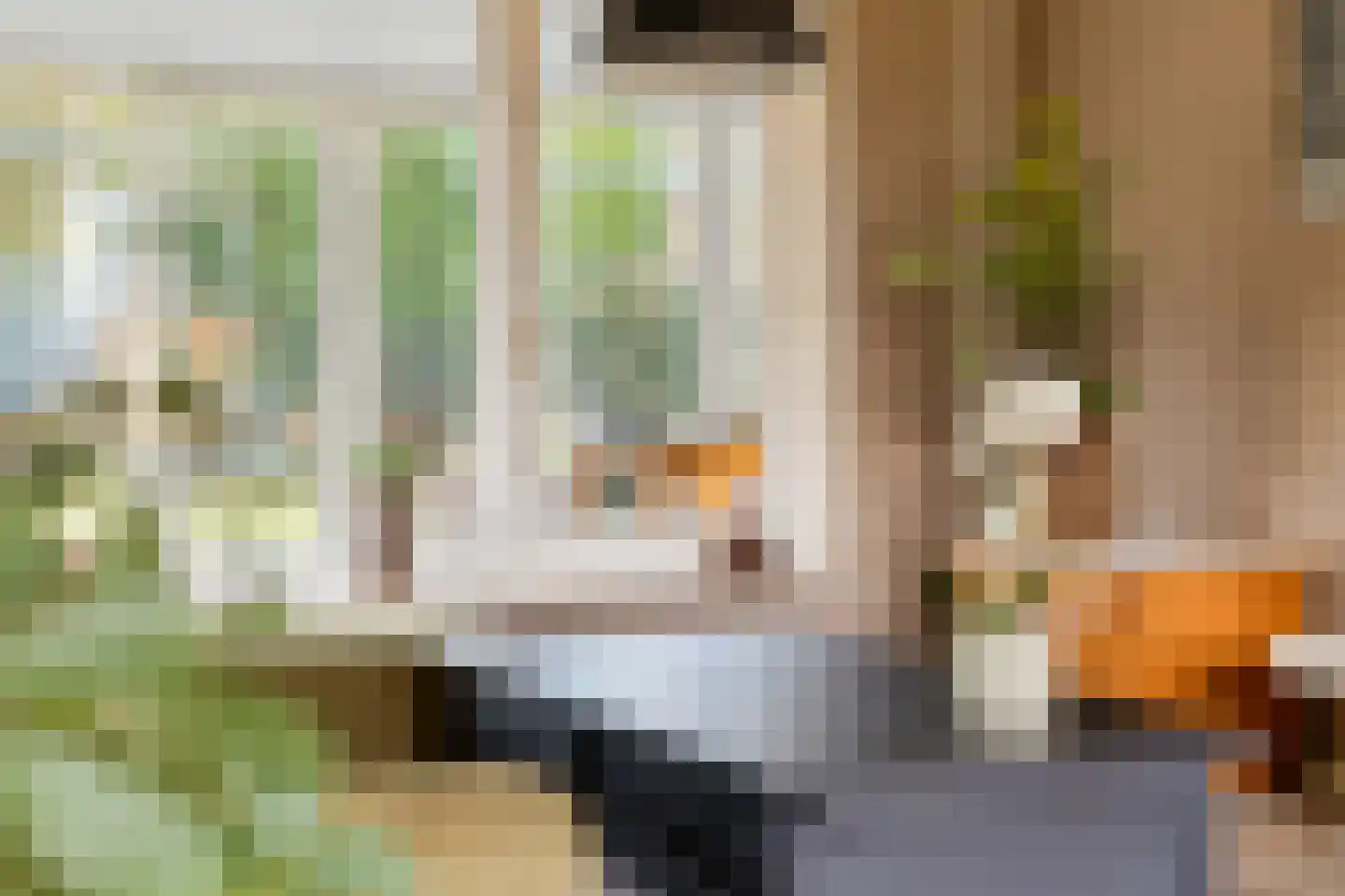 Kuikseindseweg 14 a Oost West en Middelbeers thumbnail 14