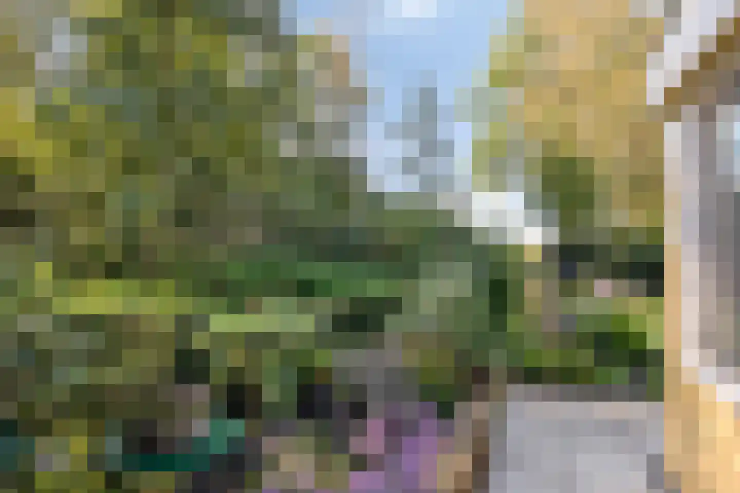 Kuikseindseweg 14 a Oost West en Middelbeers thumbnail 50