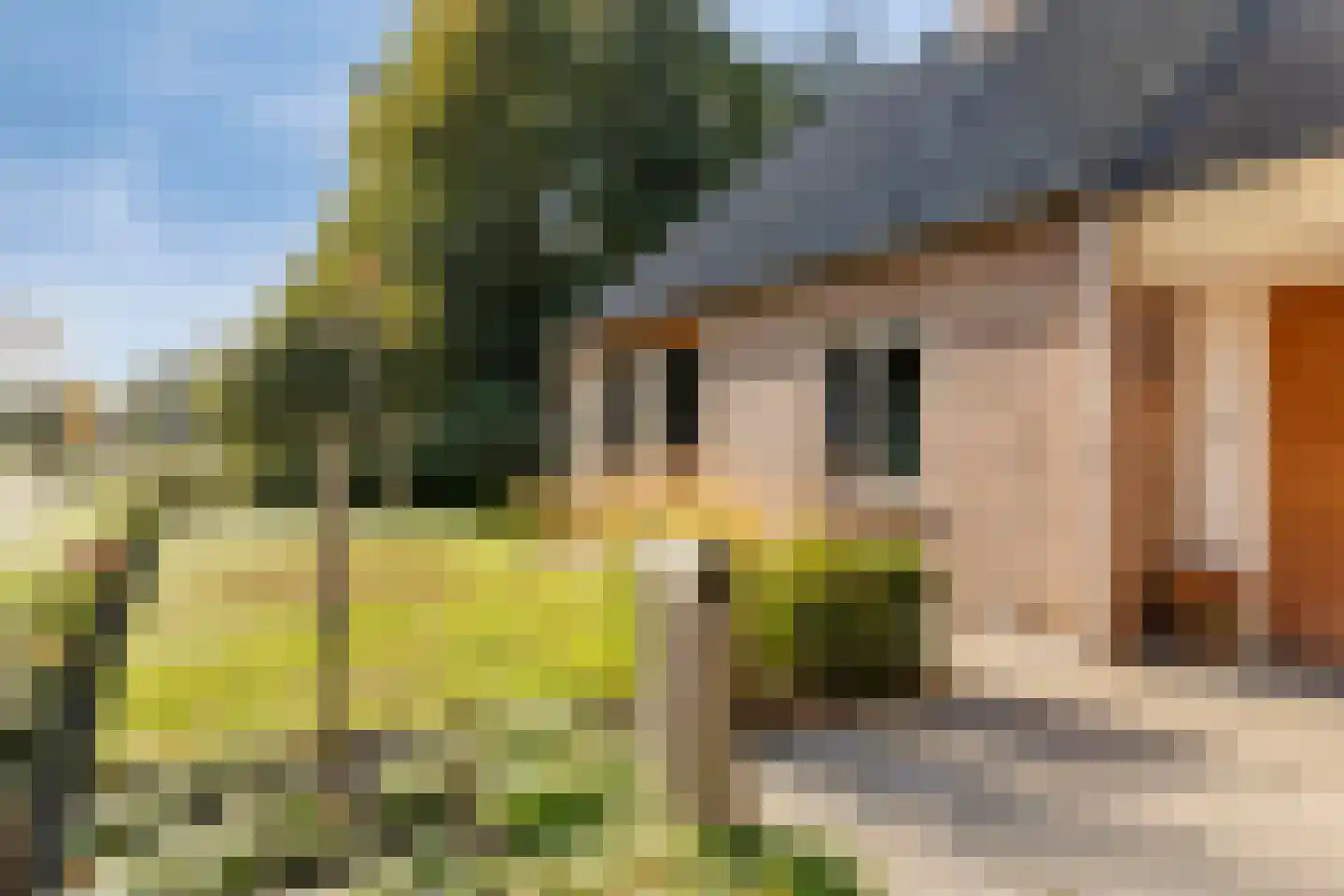 Kuikseindseweg 14 a Oost West en Middelbeers thumbnail 56