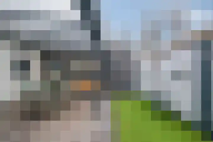 Kuikseindseweg 31 C 43 Oost West en Middelbeers thumbnail 32