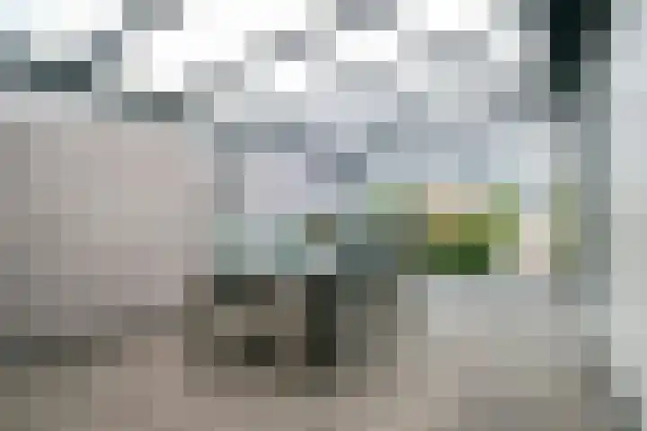Kuikseindseweg 31 C 43 Oost West en Middelbeers thumbnail 35