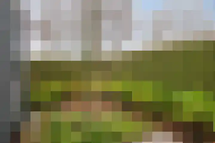 Kuikseindseweg 31 C 43 Oost West en Middelbeers thumbnail 36