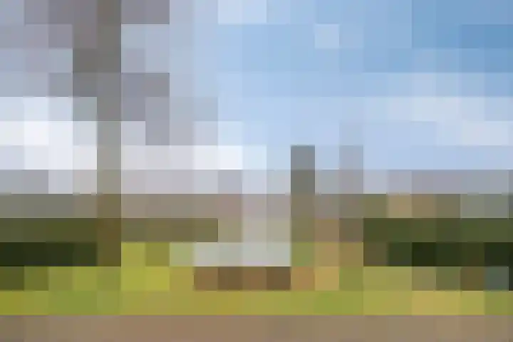Kuikseindseweg 31 C 43 Oost West en Middelbeers thumbnail 38