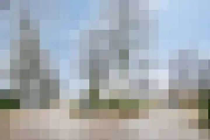 Kuikseindseweg 31 C 43 Oost West en Middelbeers thumbnail 41