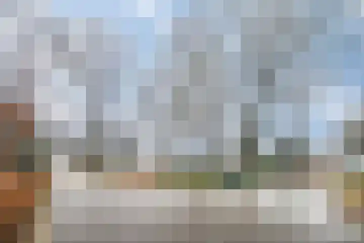 Kuikseindseweg 31 C 43 Oost West en Middelbeers thumbnail 42