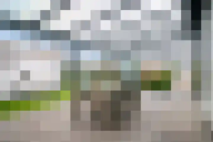 Kuikseindseweg 31 C 43 Oost West en Middelbeers thumbnail 5