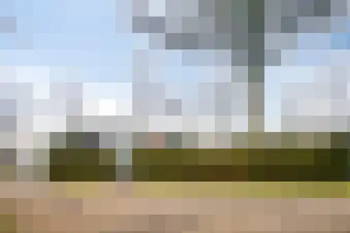 Kuikseindseweg 31 C 43 Oost West en Middelbeers thumbnail 8