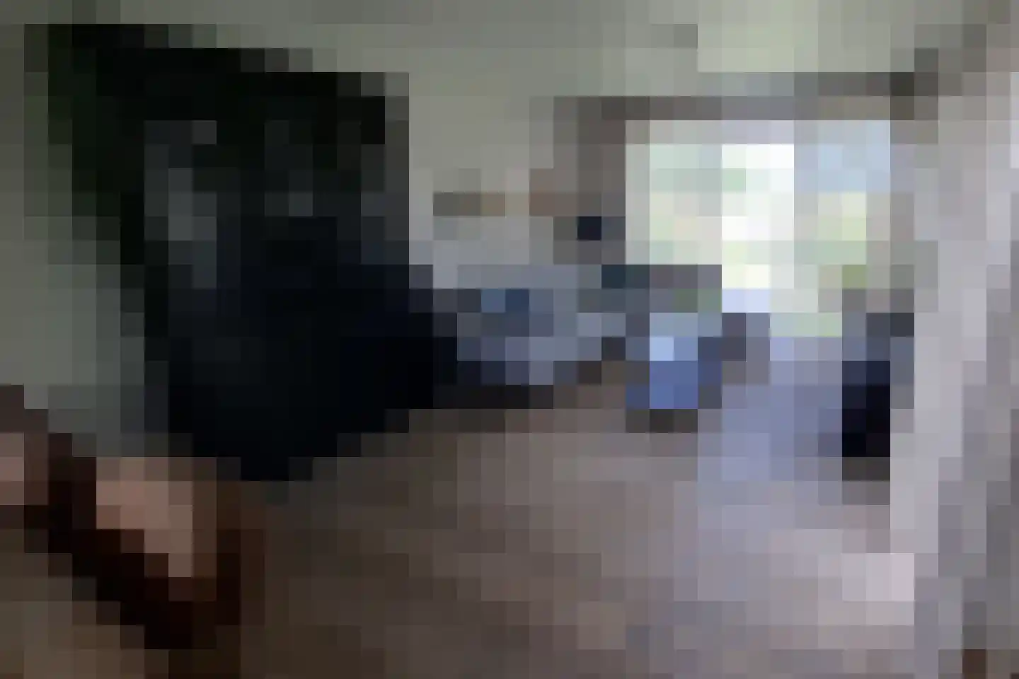 Kuikseindseweg 31 C 48 Oost West en Middelbeers thumbnail 9