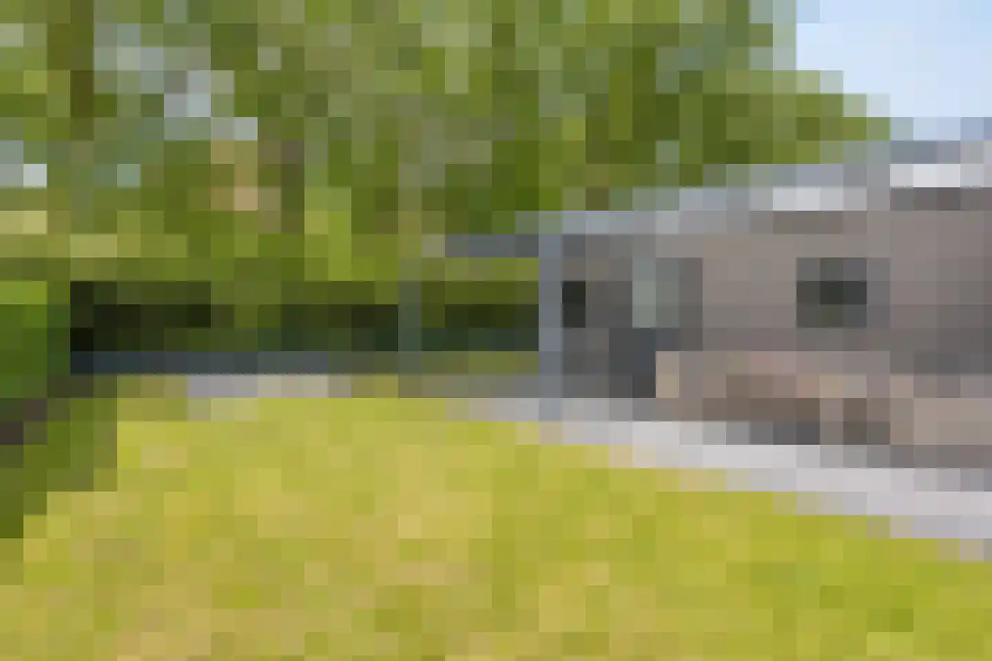 Kuikseindseweg 31 C101 Oost West en Middelbeers thumbnail 22