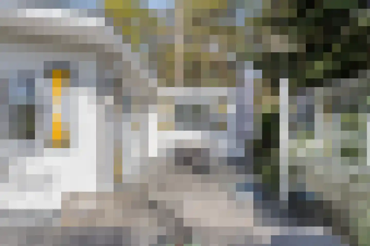 Kuikseindseweg 31 C101 Oost West en Middelbeers thumbnail 30