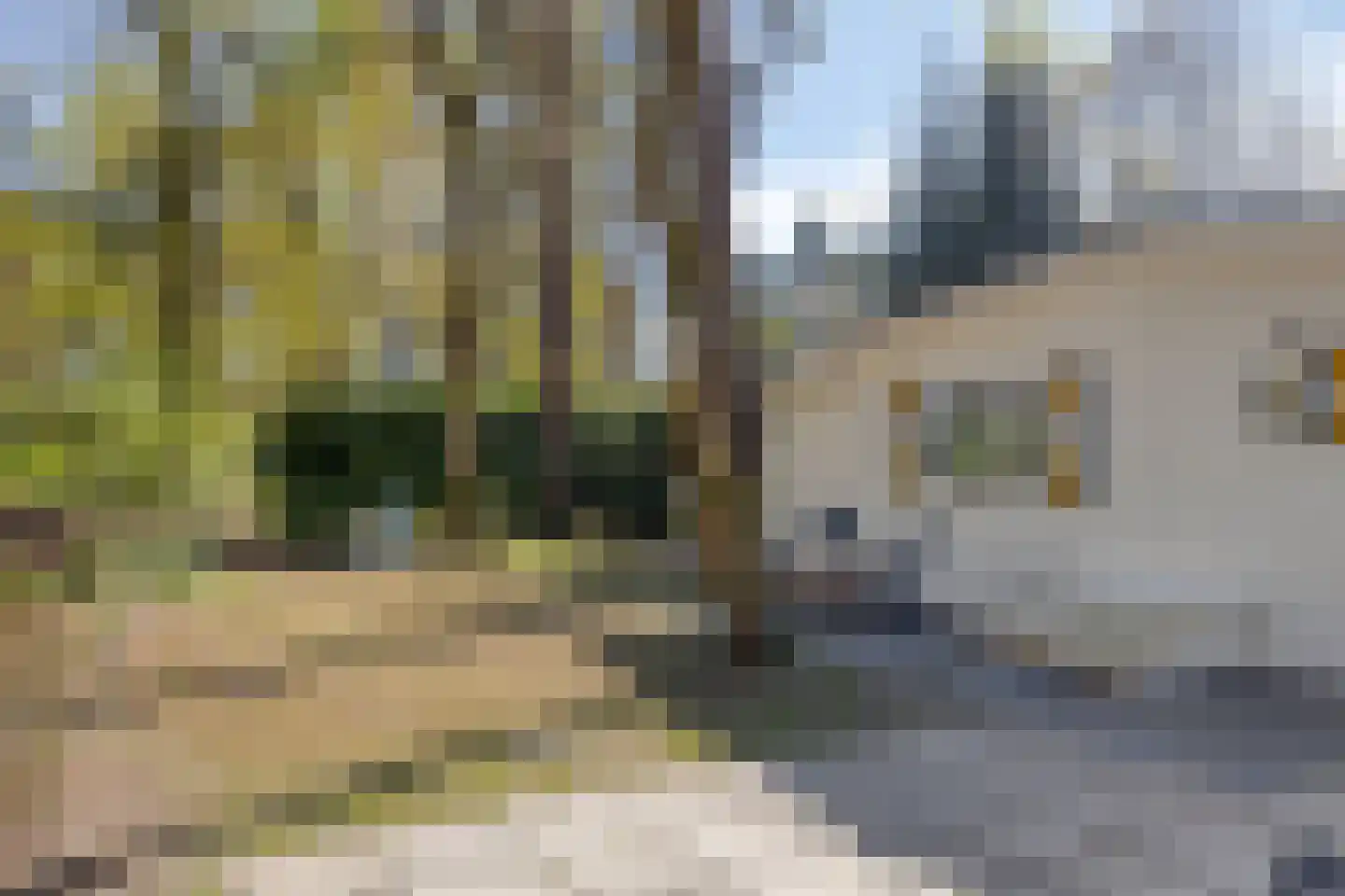 Kuikseindseweg 31 C101 Oost West en Middelbeers thumbnail 34