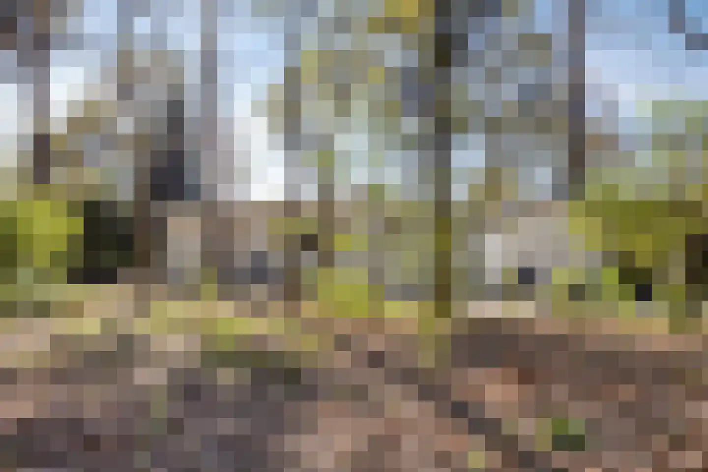 Kuikseindseweg 31 C101 Oost West en Middelbeers thumbnail 36