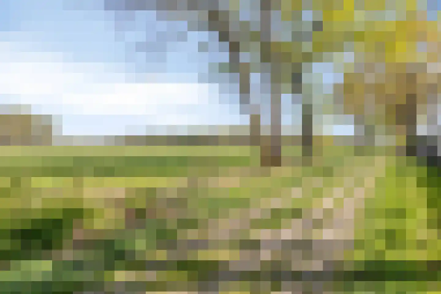 Kuikseindseweg 31 C101 Oost West en Middelbeers thumbnail 45