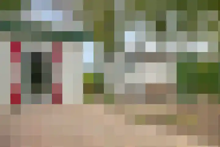 Kuikseindseweg 31 C42 Oost West en Middelbeers thumbnail 24