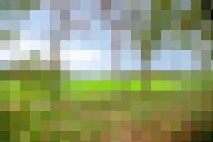 Kuikseindseweg 31 C42 Oost West en Middelbeers thumbnail 30