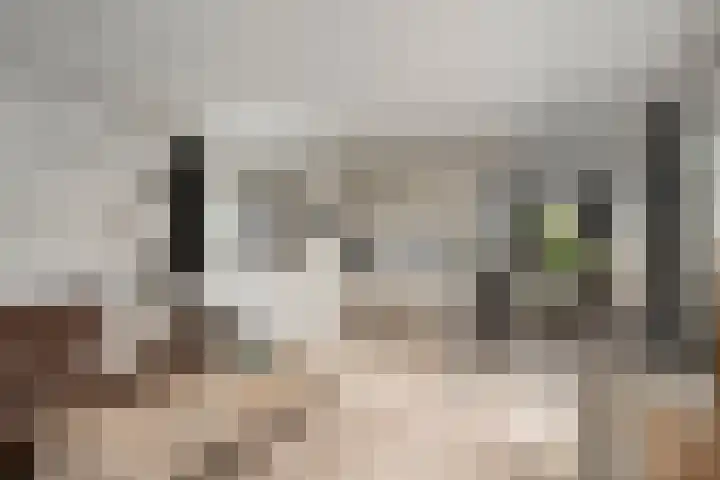 Kuikseindseweg 31 C42 Oost West en Middelbeers thumbnail 4