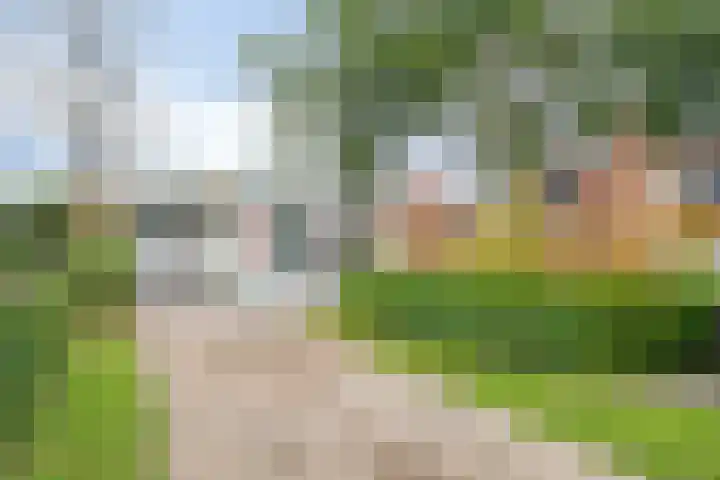 Kuikseindseweg 31 C42 Oost West en Middelbeers thumbnail 6