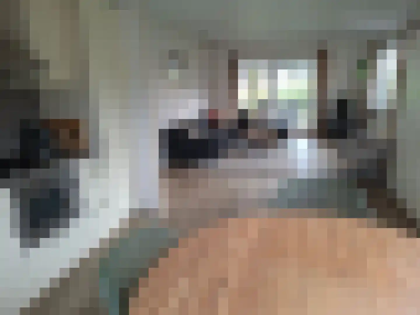 Kuikseindseweg 31 C68 Oost West en Middelbeers thumbnail 10