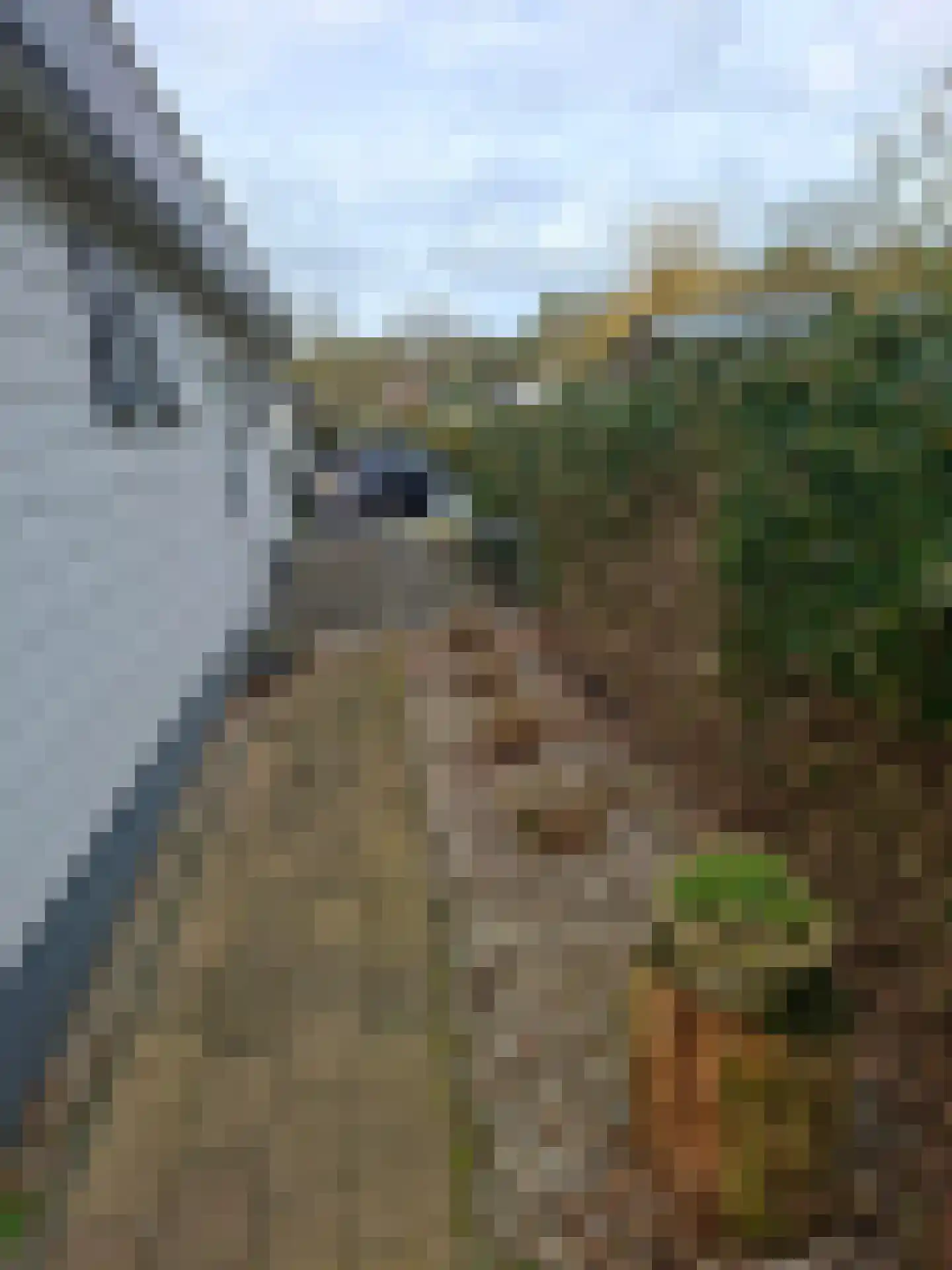 Kuikseindseweg 31 C68 Oost West en Middelbeers thumbnail 23
