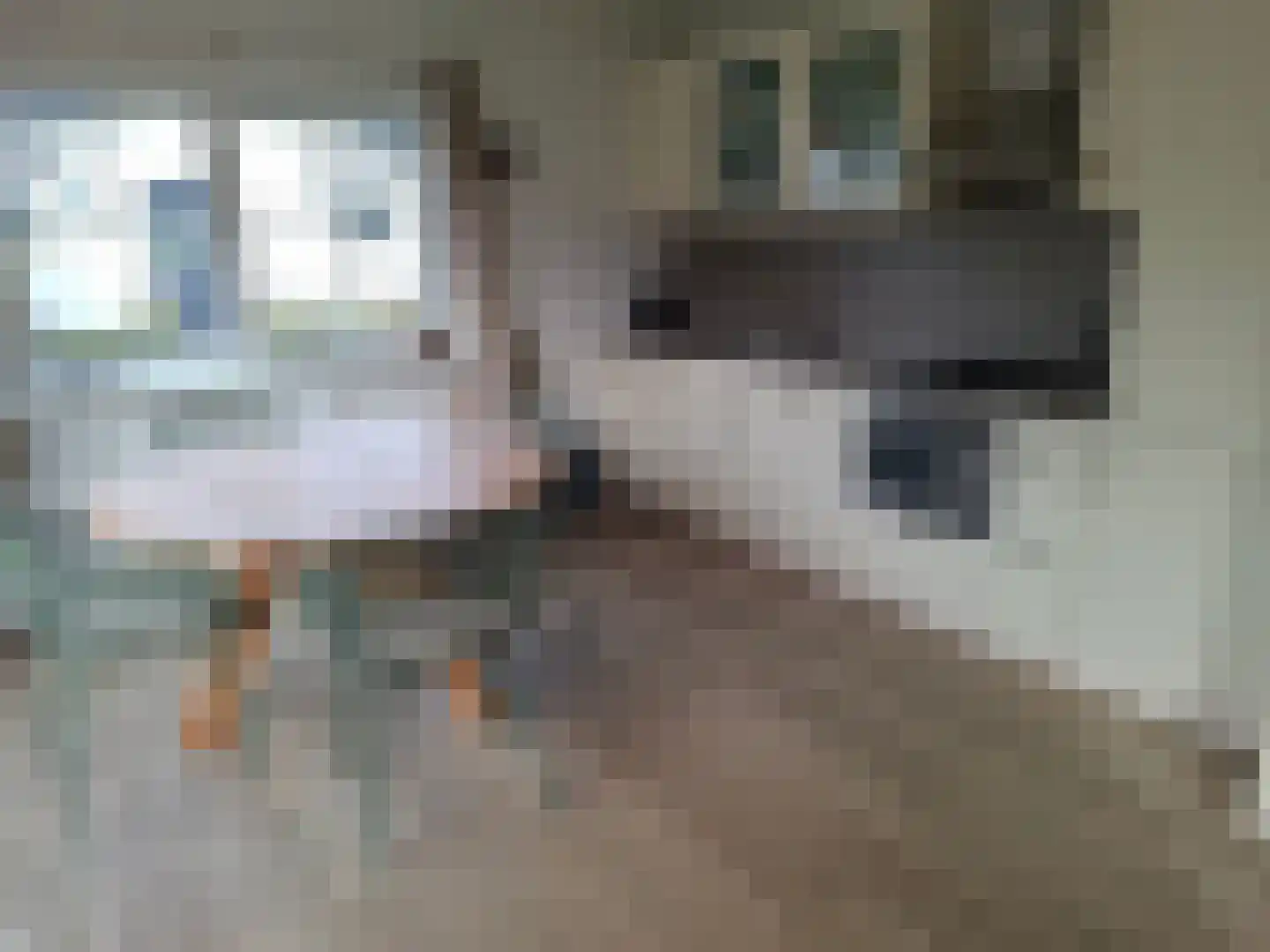 Kuikseindseweg 31 C68 Oost West en Middelbeers thumbnail 8