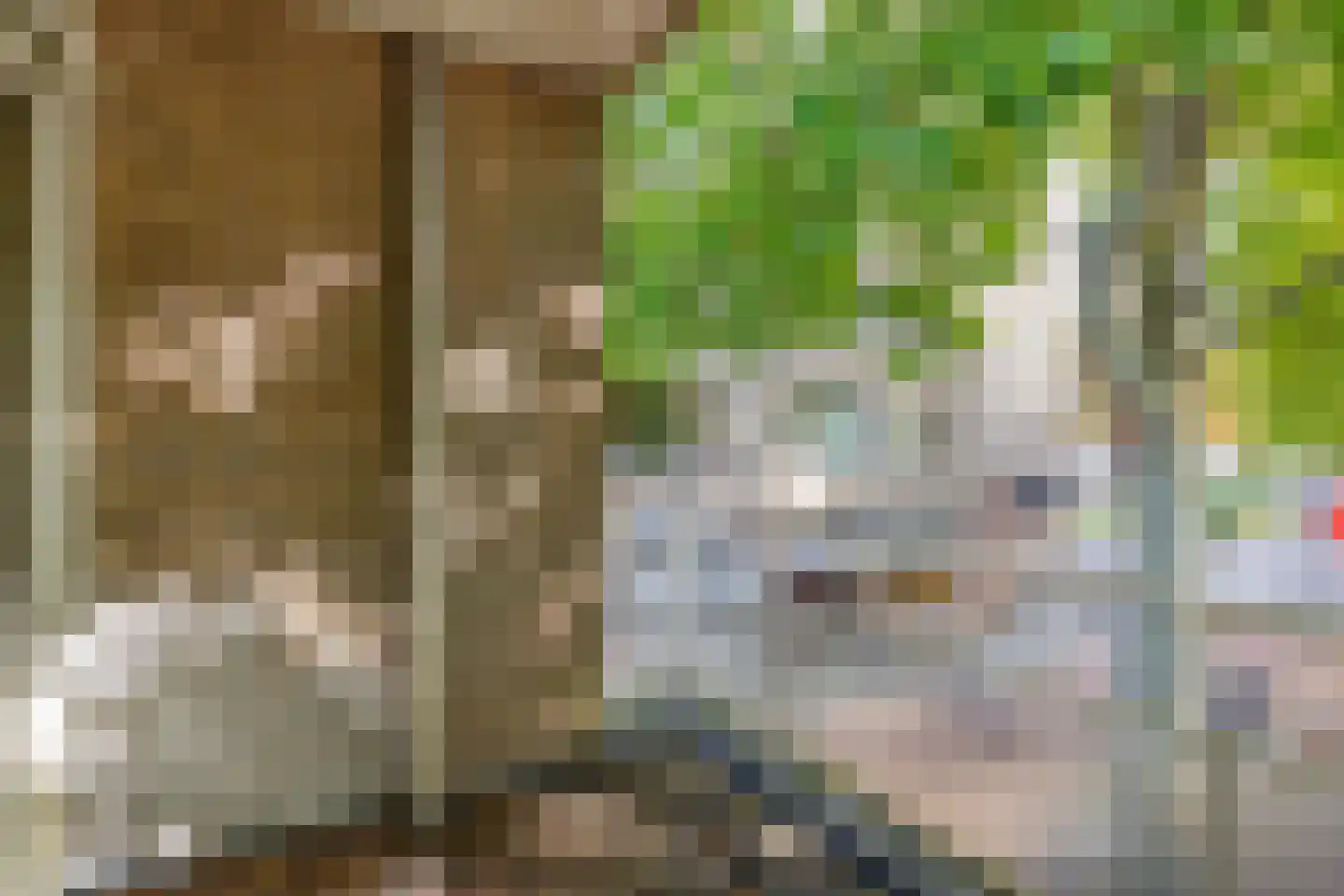 Kuil 3 Hoogvliet Rotterdam thumbnail 26