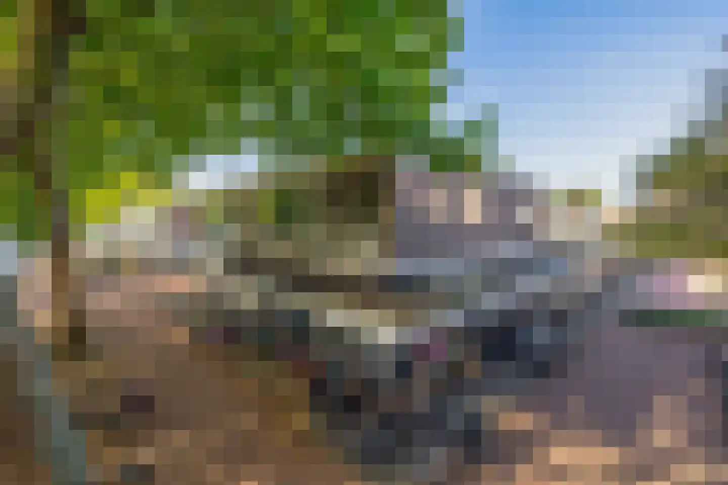 Kuil 3 Hoogvliet Rotterdam thumbnail 7