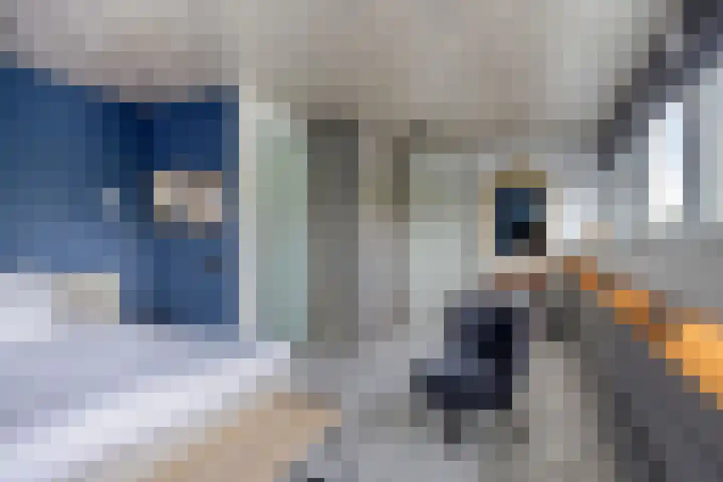 Kuil 30 Udenhout thumbnail 31