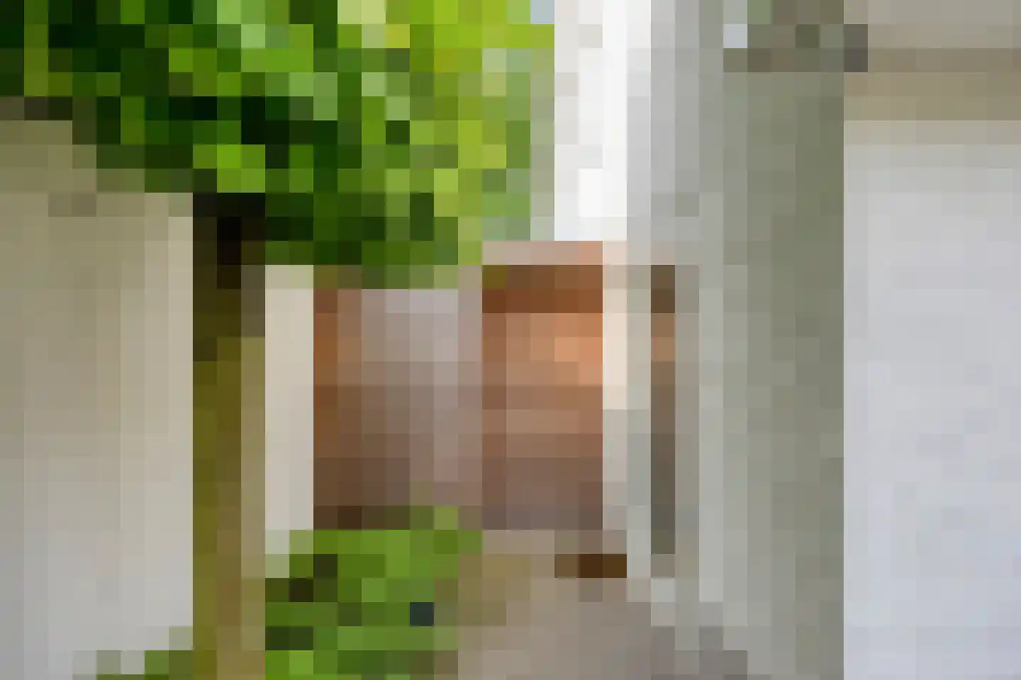 Kuil 30 Udenhout thumbnail 46