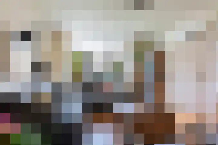 Kuilakkerweg 6 Emst thumbnail 6