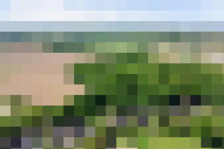 Kuilen 10 Sint Agatha thumbnail 5