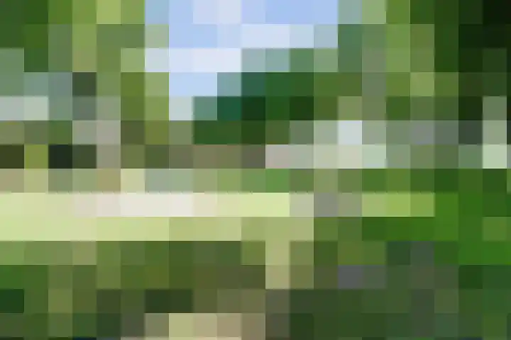 Kuilen 10 Sint Agatha thumbnail 56