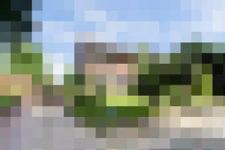 Kuilen 10 Sint Agatha thumbnail 8