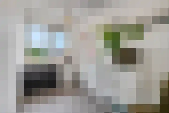 Kuilenburgsekade 13 Tuil thumbnail 18