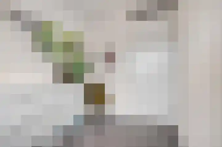 Kuilenburgsekade 13 Tuil thumbnail 19