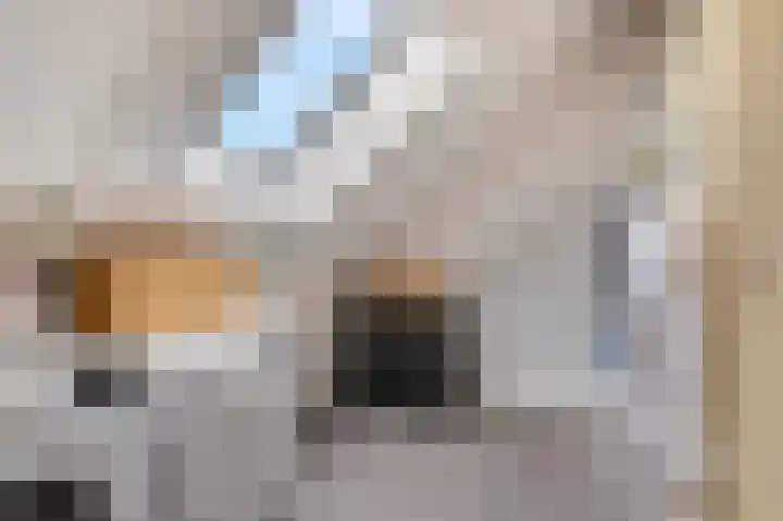 Kuilenburgsekade 13 Tuil thumbnail 28