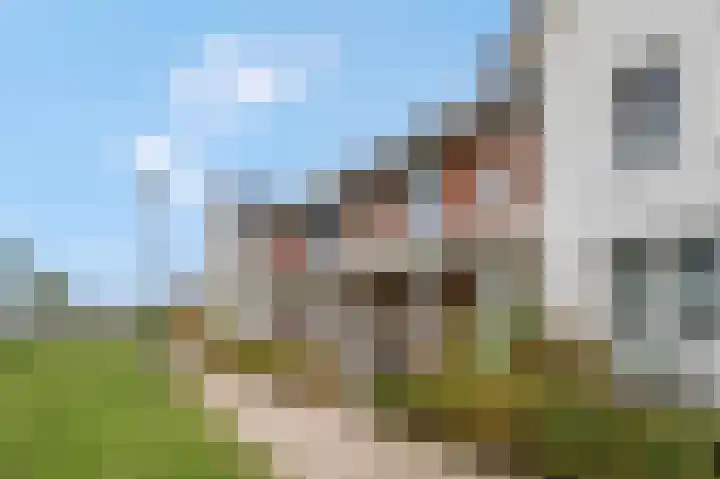 Kuilenburgsekade 13 Tuil thumbnail 32