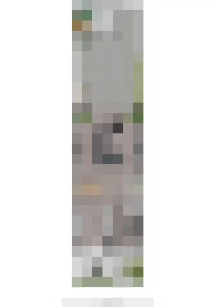 Kuilenburgsekade 13 Tuil thumbnail 36