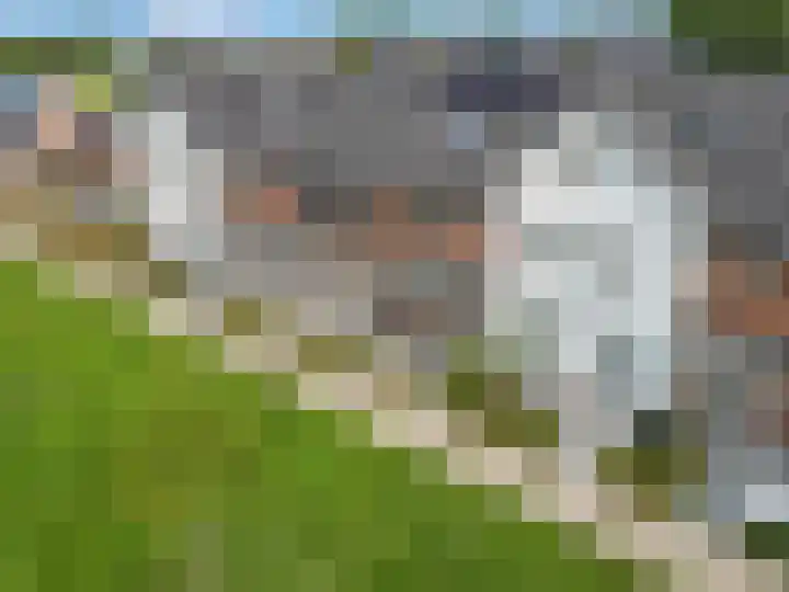 Kuilenburgsekade 13 Tuil thumbnail 4