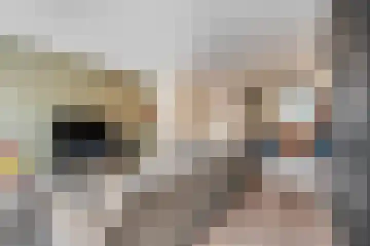 Kuilenburgsekade 13 Tuil thumbnail 6