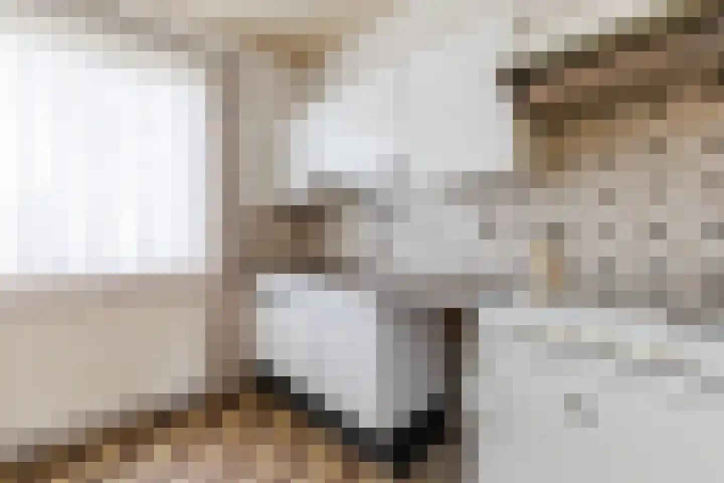 Kuilenhurk 7 Vessem thumbnail 10