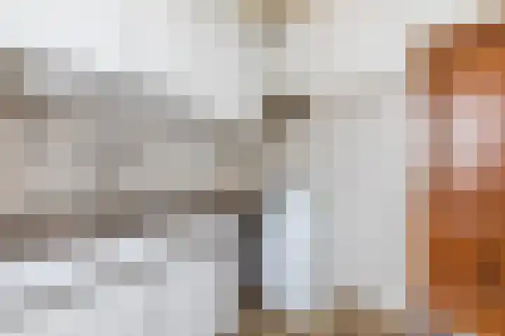 Kuilenhurk 7 Vessem thumbnail 12